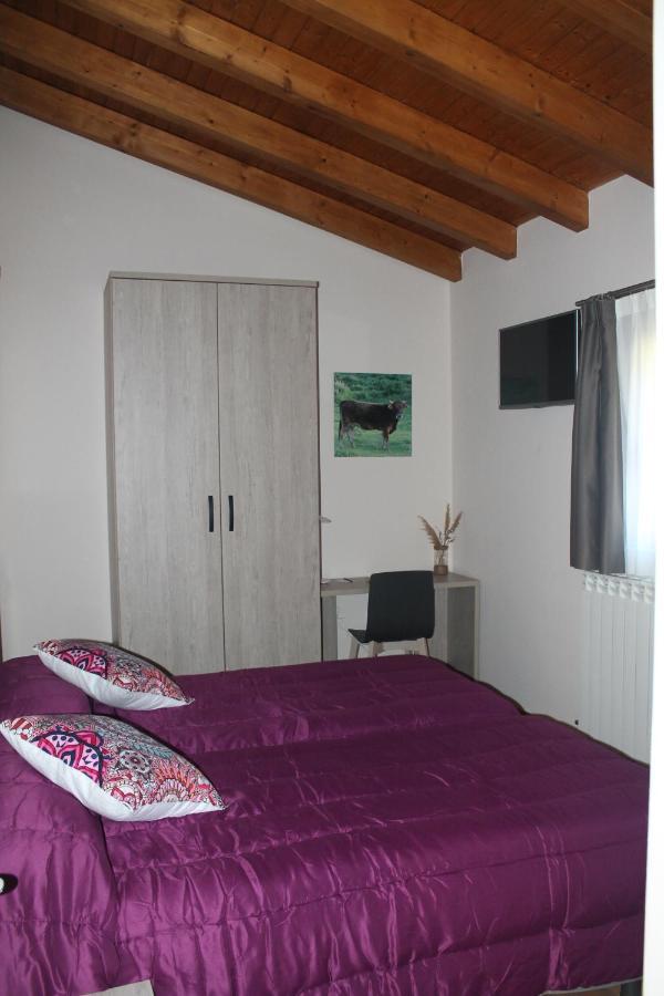 Hotel Rural Rio Molinar Ranera Extérieur photo